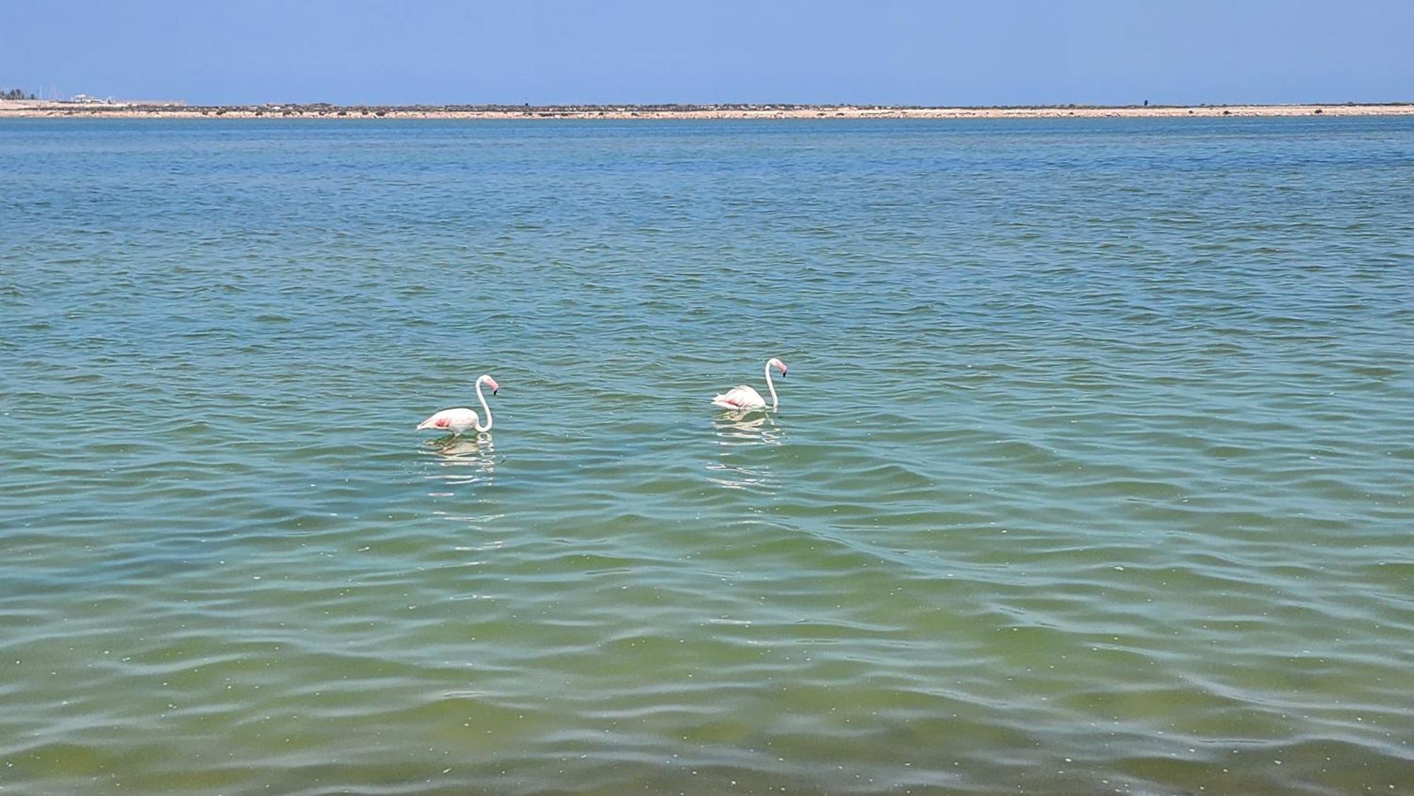 מורסיה La Manga Del Mar Menor Los Miradores Block 1 5Th Floor G מראה חיצוני תמונה